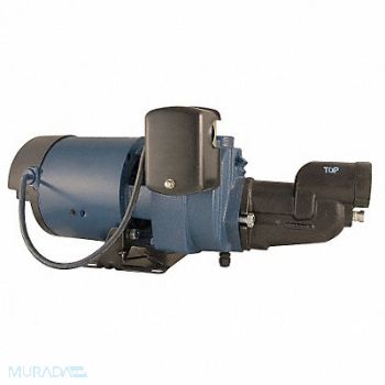 FLINT WALLING 1 HP Shallow Well Jet Pump w/ Ejector, 24PR53