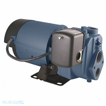FLINT WALLING 1 HP Convertible Jet Pump 110ft Lift, 24PR56
