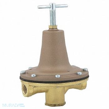 WATTS Pressure Regulator 1/4 in 0 to 50 psi, 25CC58