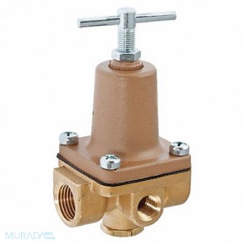WATTS Small Pressure Regulator Brass 300 psi, 25CD05