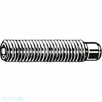 GRAINGER APPROVED ScktStScrw OvalPt #6-32 3/8 L PK100, 25J766