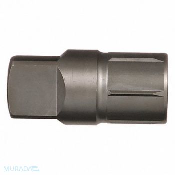 RIDGID Extractor 2 in, 25XC10