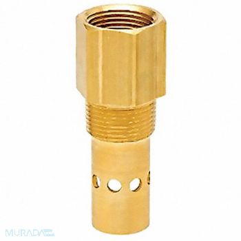 CHAMPION Check Valve Intake 3/4in, 26DN45