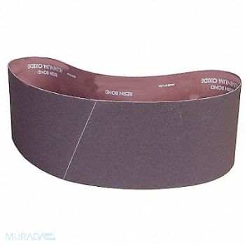 NORTON Sanding Belt 60 in L 4 in W 100G PK10, 26LX66