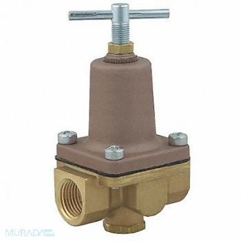 WATTS Pressure Regulator 1/2 In 10 to 125 psi, 40F294