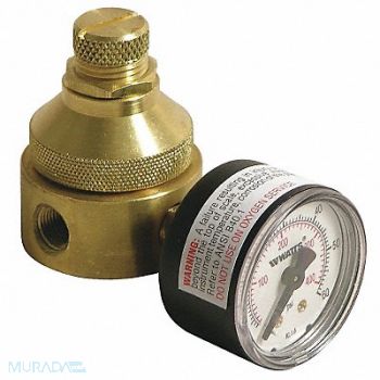 WATTS Pressure Regulator 1/4 In 0 to 125 psi, 26X147