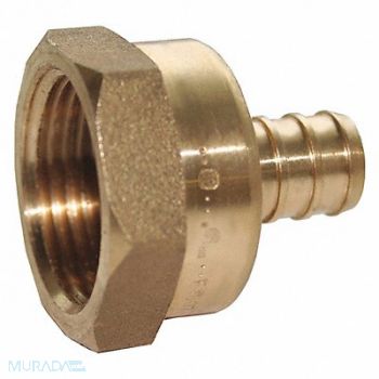 JONES STEPHENS Brass PEX x Female Adapter 1/2 x1/2, 280C16