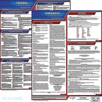 JJ KELLER LaborLaw Poster Fed/STA AR ENG 20inH 1yr, 36EU63