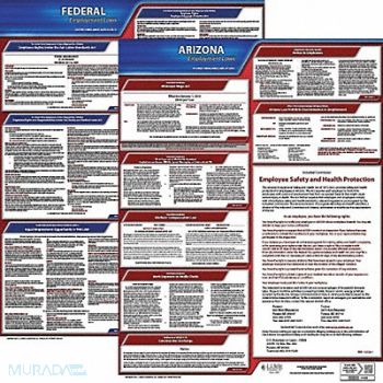 JJ KELLER LaborLaw Poster Fed/STA AZ ENG 20inH 1yr, 36EU64