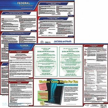 JJ KELLER LaborLaw Poster Fed/STA FL ENG 20inH 1yr, 36EU70