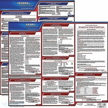 JJ KELLER LaborLaw Poster Fed/STA HI ENG 20inH 1yr, 36EU72