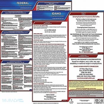 JJ KELLER LaborLaw Poster Fed/STA ID ENG 20inH 1yr, 36EU74