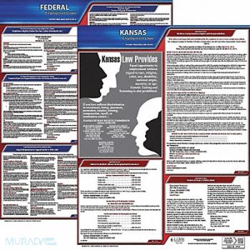 JJ KELLER LaborLaw Poster Fed/STA KS ENG 20inH 3yr, 36EV84