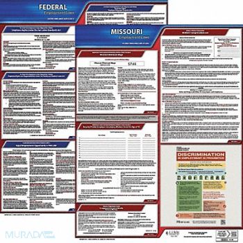 JJ KELLER LaborLaw Poster Fed/STA MO ENG 20inH 1yr, 36EU85