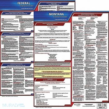 JJ KELLER LaborLaw Poster Fed/STA MT ENG 20inH 1yr, 36EU87