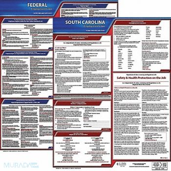 JJ KELLER LaborLaw Poster Fed/STA SC ENG 20inH 3yr, 36EW10