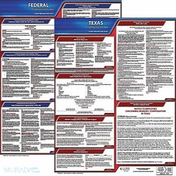 JJ KELLER LaborLaw Poster Fed/STA TX ENG 20inH 1yr, 36EV06