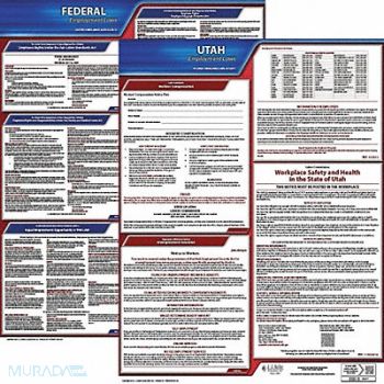 JJ KELLER LaborLaw Poster Fed/STA UT ENG 20inH 1yr, 36EV08