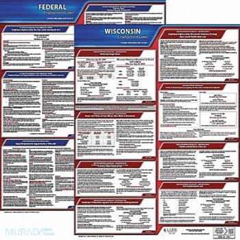 JJ KELLER LaborLaw Poster Fed/STA WI ENG 20inH 1yr, 36EV12