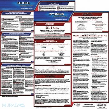 JJ KELLER LaborLaw Poster Fed/STA WY ENG 20inH 1yr, 36EV14