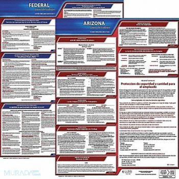 JJ KELLER Labor Law Poster Fed/STA AZ SP 20inH 1yr, 36EV18