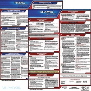 JJ KELLER Labor Law Poster Fed/STA DE SP 20inH 1yr, 36EV23