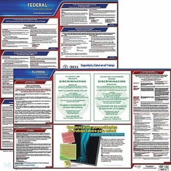 JJ KELLER Labor Law Poster Fed/STA FL SP 20inH 3yr, 36EW31
