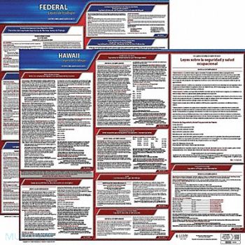 JJ KELLER Labor Law Poster Fed/STA HI SP 20inH 3yr, 36EW33