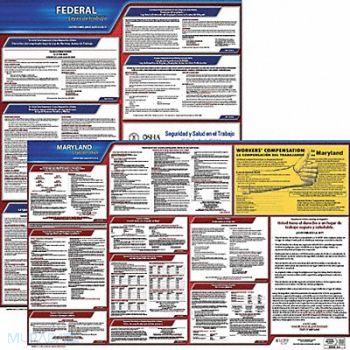 JJ KELLER Labor Law Poster Fed/STA MD SP 20inH 1yr, 36EV35