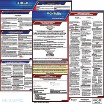 JJ KELLER Labor Law Poster Fed/STA MT SP 20inH 1yr, 36EV41