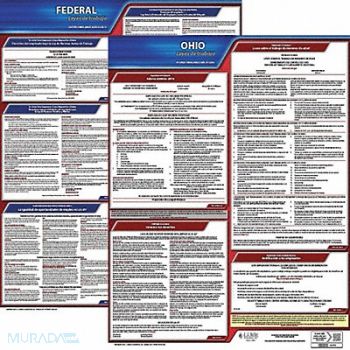 JJ KELLER Labor Law Poster Fed/STA OH SP 20inH 3yr, 36EW57