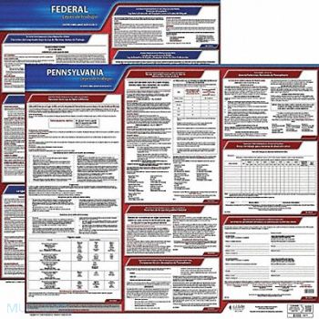 JJ KELLER Labor Law Poster Fed/STA PA SP 20inH 1yr, 36EV53
