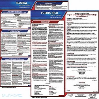 JJ KELLER Labor Law Poster Fed/STA PR SP 20inH 3yr, 36EW61