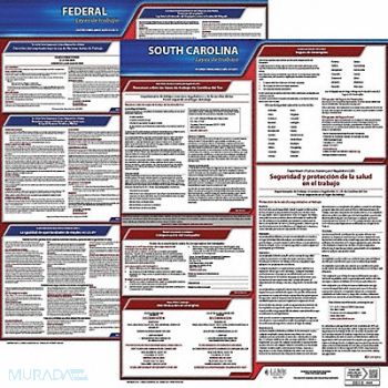 JJ KELLER Labor Law Poster Fed/STA SC SP 20inH 3yr, 36EW63