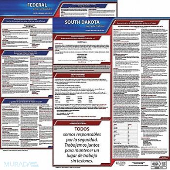 JJ KELLER Labor Law Poster Fed/STA SD SP 20inH 3yr, 36EW64