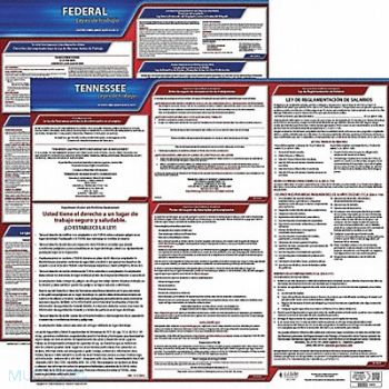 JJ KELLER Labor Law Poster Fed/STA TN SP 20inH 3yr, 36EW65