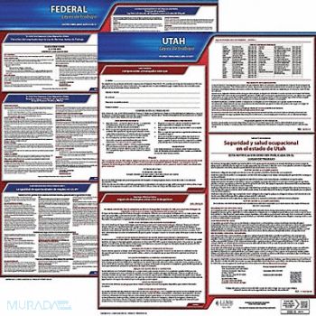JJ KELLER Labor Law Poster Fed/STA UT SP 20inH 3yr, 36EW68