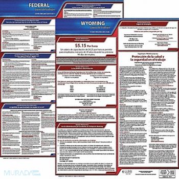 JJ KELLER Labor Law Poster Fed/STA WY SP 20inH 3yr, 36EW74