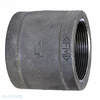 ANVIL Right-Hand Coupling Steel 1/8 in NPT, 29JD47