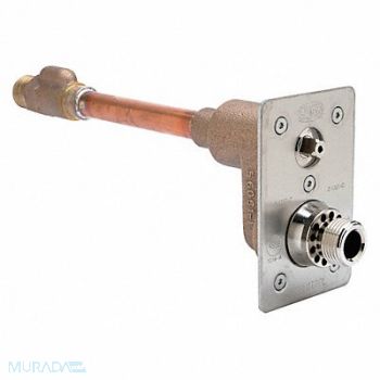 ZURN Wall Hydrant 6 in., 29RP57