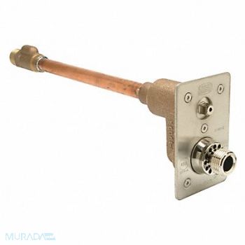 ZURN Wall Hydrant 12 in., 29RP58