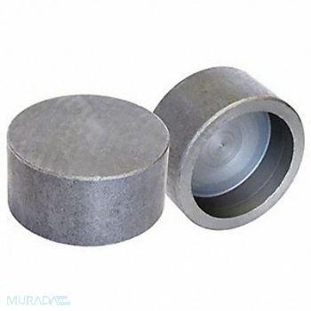 ANVIL Round Cap Forged Steel 4 in Class 3000, 29VE65