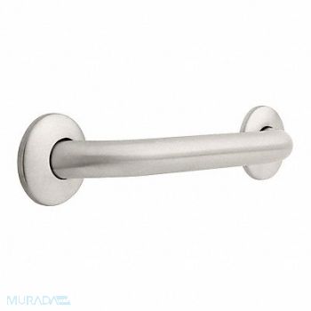 FRANKLIN BRASS Grab Bar SS Unfinished 12 in L, 29WJ25