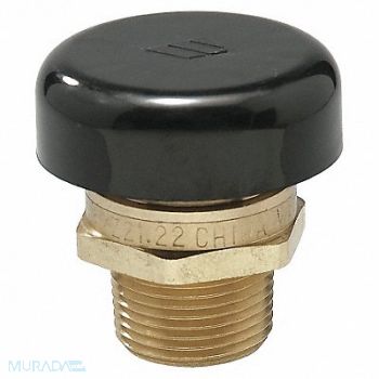 WATTS Vacuum Relief Valve 0 to 200 psi SS, 29YL72