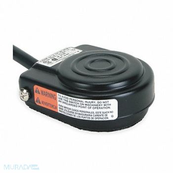 LINEMASTER Light Duty Foot Switch Momentary Action, 2A190