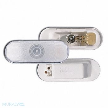 GROTE Back Up Lamp Oval Clear, 2CWN6