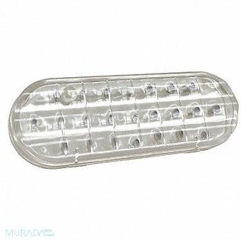 GROTE Back Up Lamp Oval Clear, 2CWP7