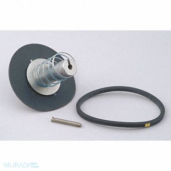 DAYTON Valve Rebuild Kit With Instructions, 2DAA5