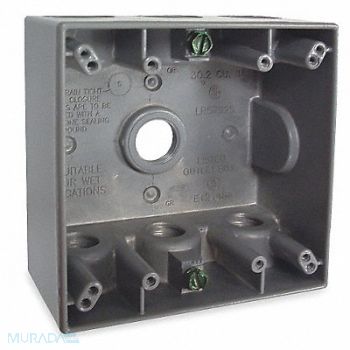 BELL Weatherproof Box 1/2 in Hub 2Gangs, 2DCV7