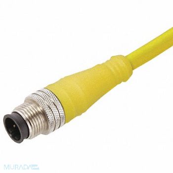 BRAD HARRISON Cordset 4 Pin Plug Male, 2ENL7